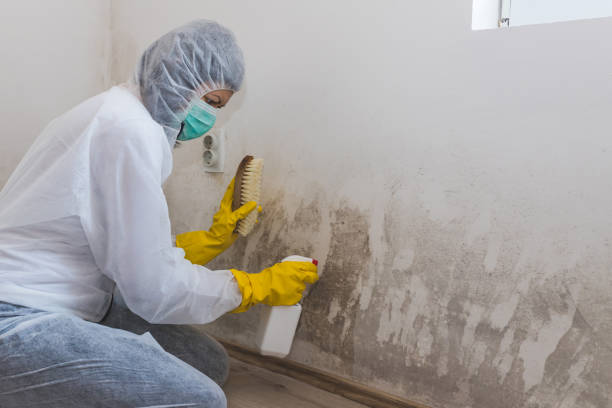 Water Damage Restoration in Cuyahoga Falls, OH