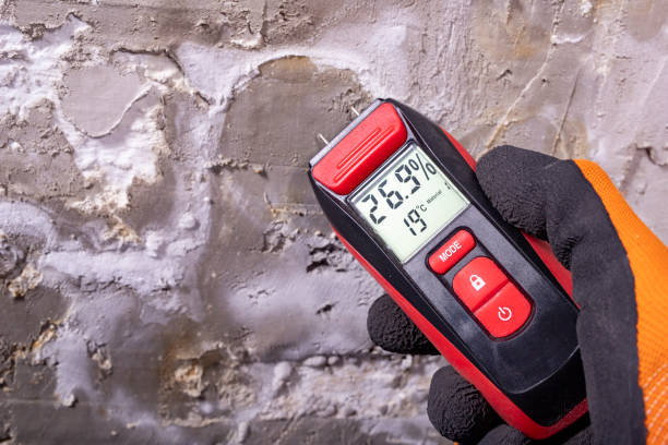 Best Office Mold Removal Services  in Cuyahoga Falls, OH