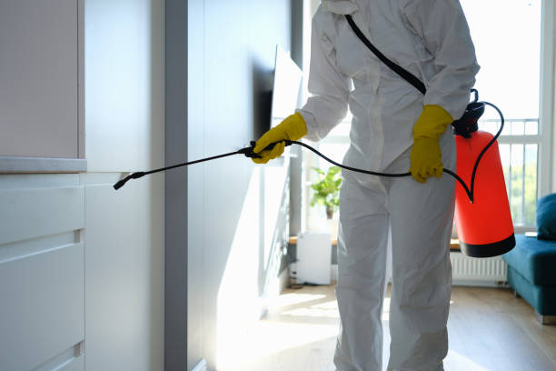 Best Professional Mold Removal  in Cuyahoga Falls, OH