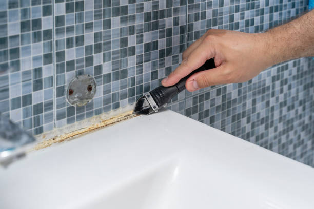 Best Mold Removal Near Me  in Cuyahoga Falls, OH