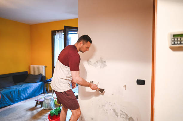 Best Mold Testing  in Cuyahoga Falls, OH